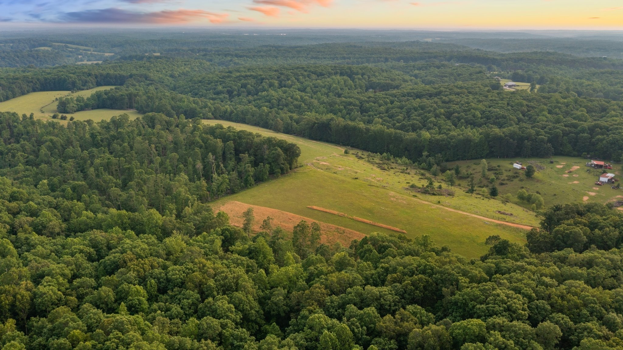 0 Oscar Green Road Primm Springs, TN 38476 - Photo 7 of 21 Gallery Image 7