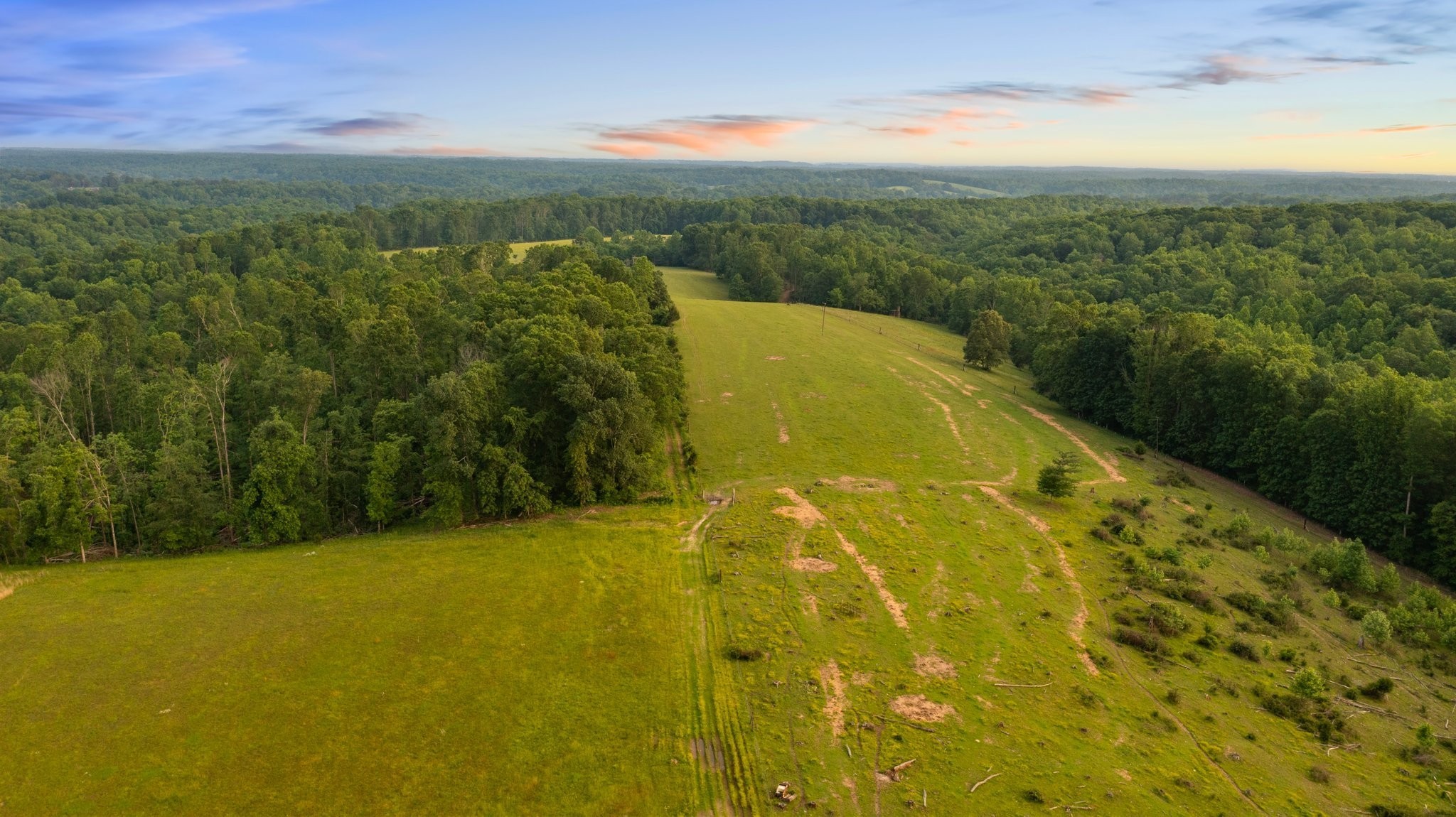 0 Oscar Green Road Primm Springs, TN 38476 - Photo 8 of 21 Gallery Image 8