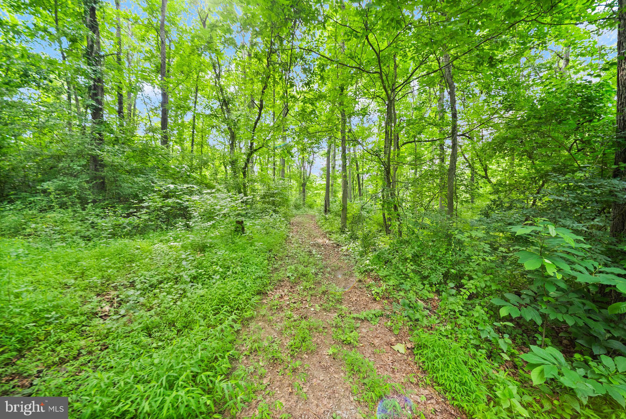 4020 Millwood Road Boyce, VA 22620 - Photo 103 of 132 Wide enough for bikes or ATV.