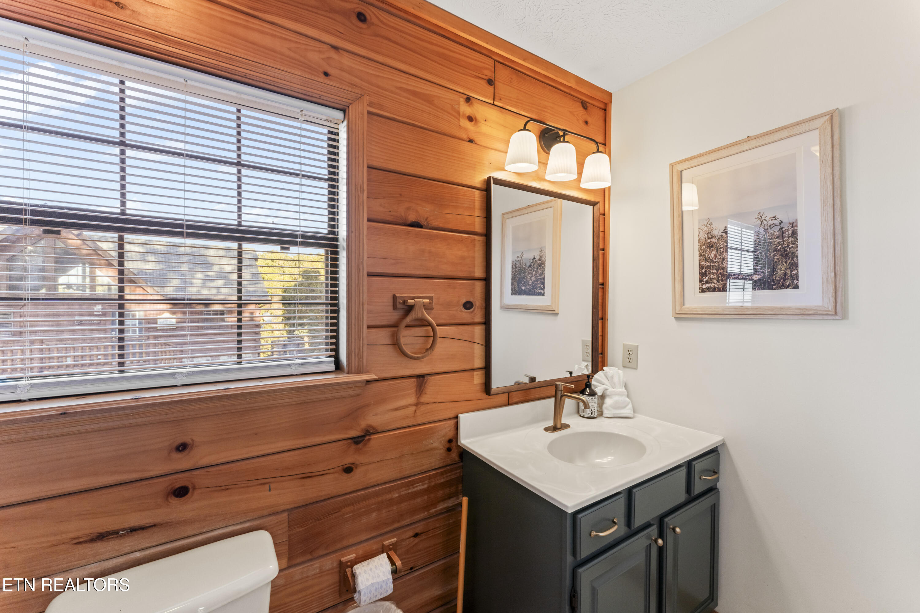1550 Bears Den Way Sevierville, TN 37862 - Photo 14 of 55 Primary Bath Sink