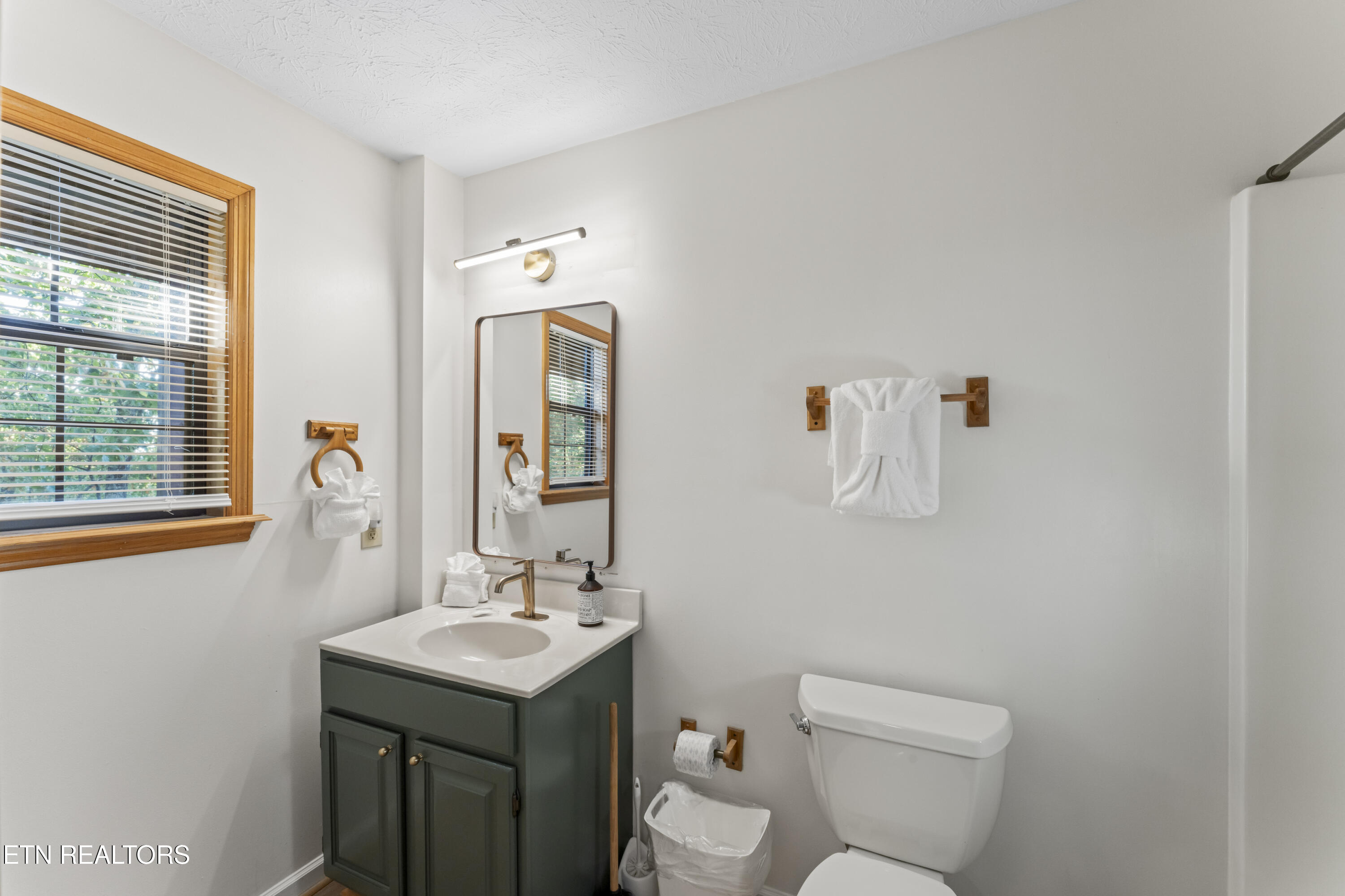 1550 Bears Den Way Sevierville, TN 37862 - Photo 32 of 55 Bathroom Basement