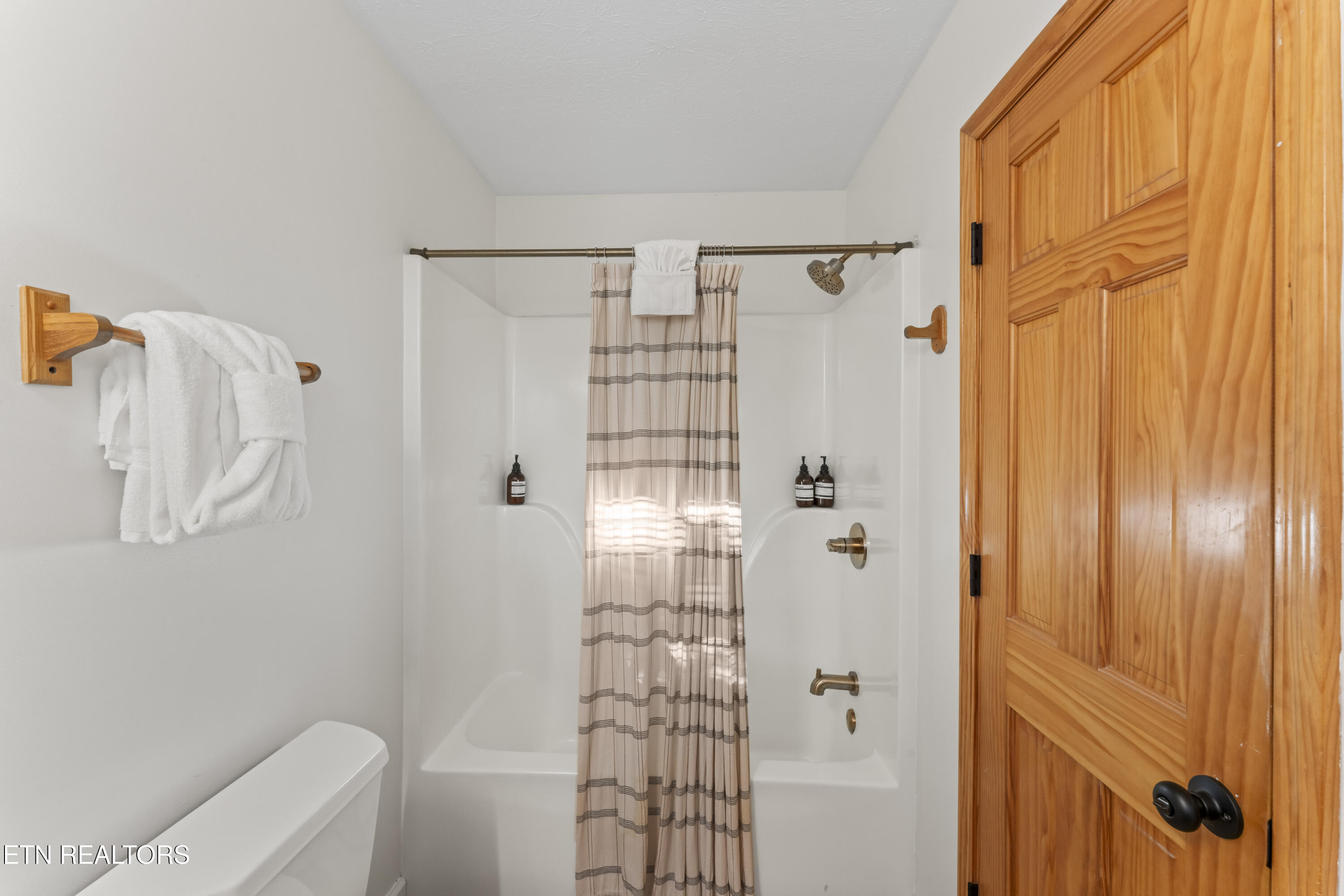1550 Bears Den Way Sevierville, TN 37862 - Photo 34 of 55 Shower Basement