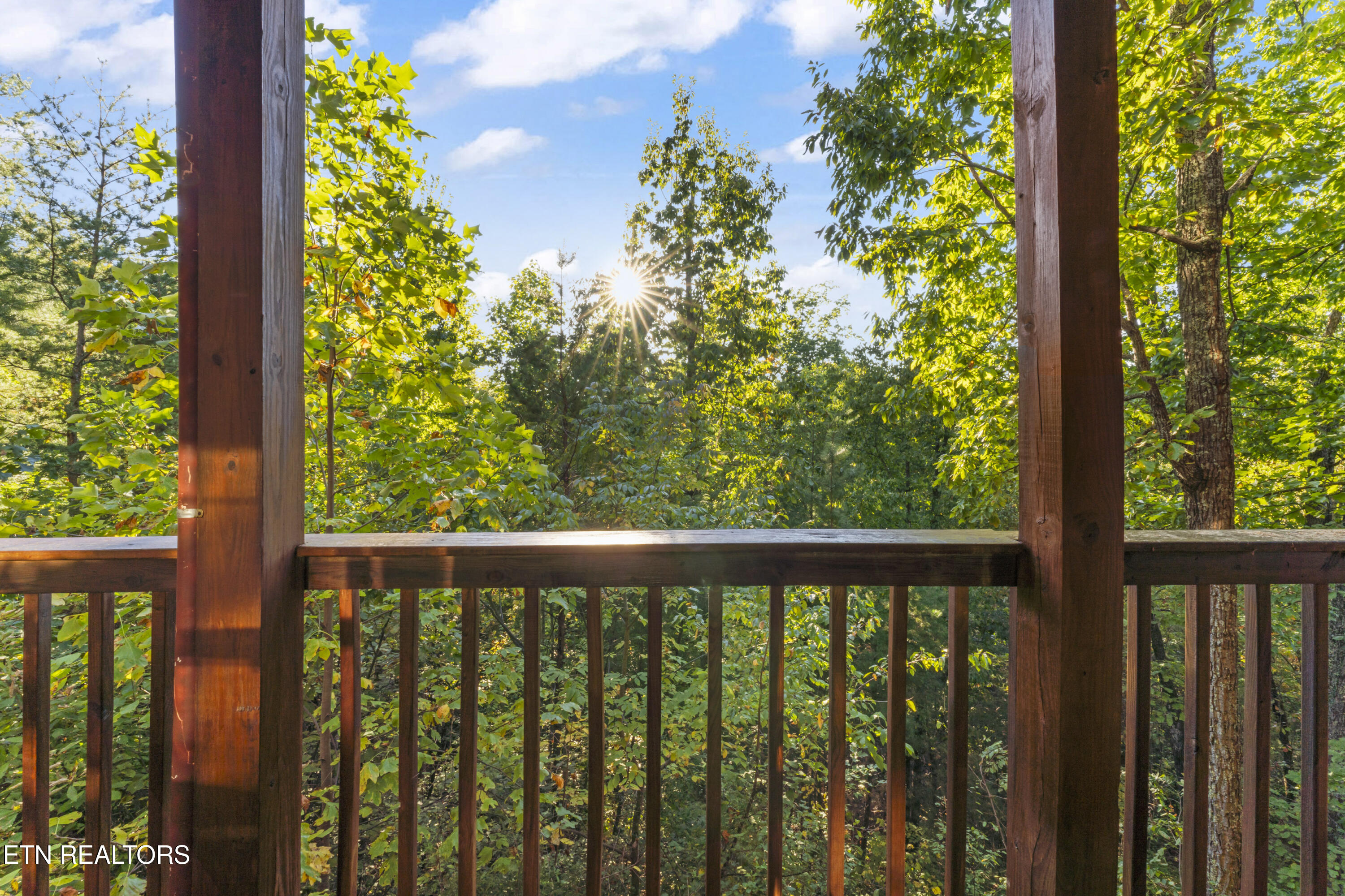 1550 Bears Den Way Sevierville, TN 37862 - Photo 37 of 55 View from Covered Deck Basement