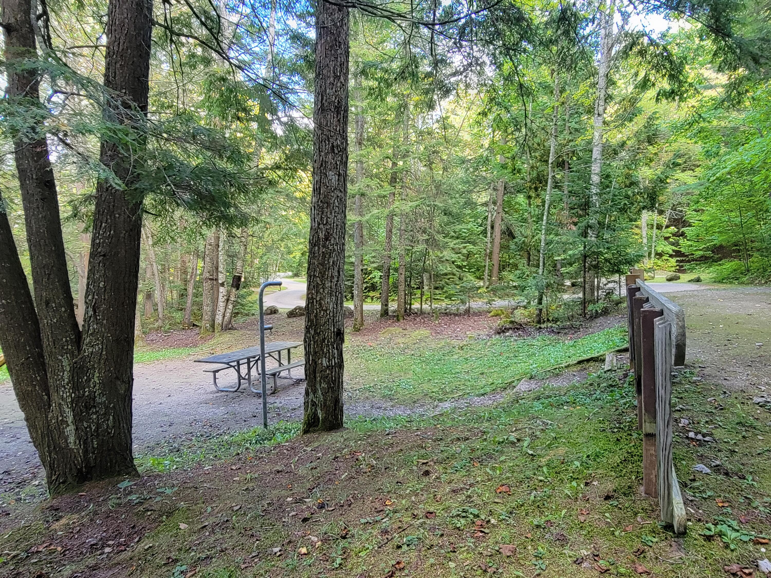 Lot 1 Brevort Camp Road Moran, MI 49760 - Photo 44 of 66 Gallery Image 44