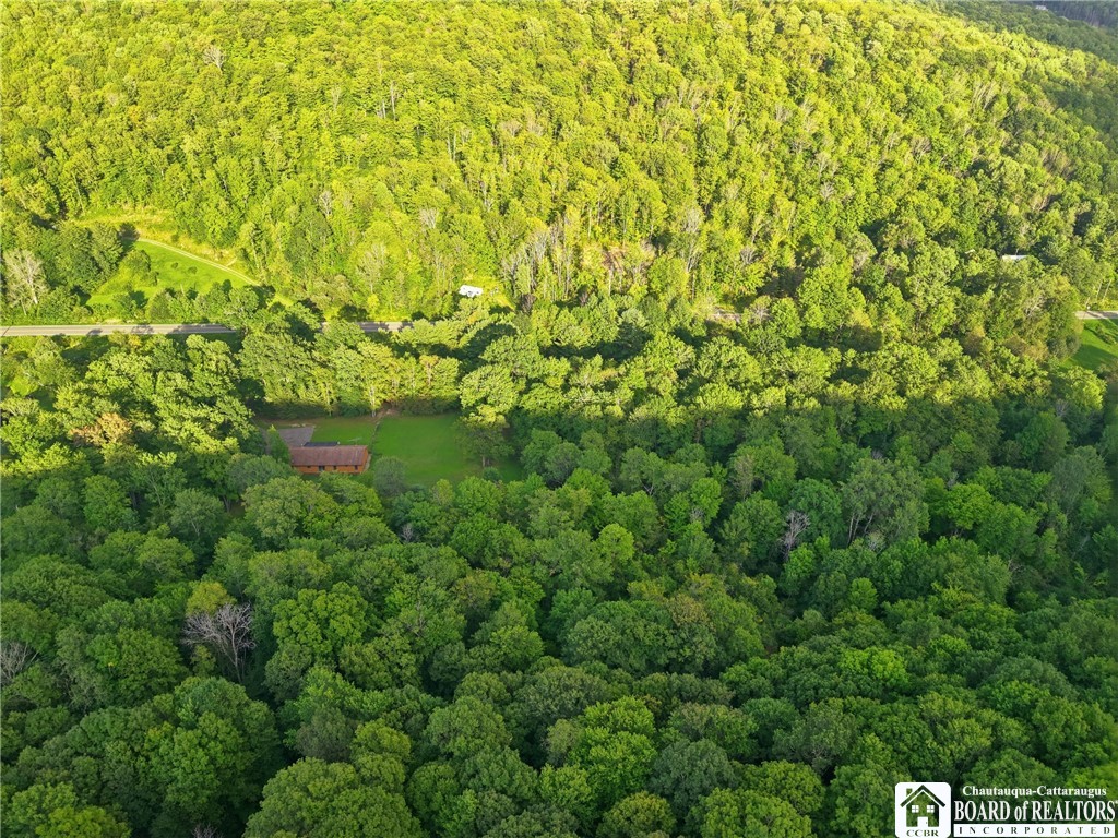 4949 5 Mile Road Ischua, NY 14743 - Photo 46 of 50 Gallery Image 46