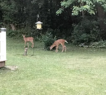 $248,000 | N44W28076 Capitol Drive, Delafield, WI 53072