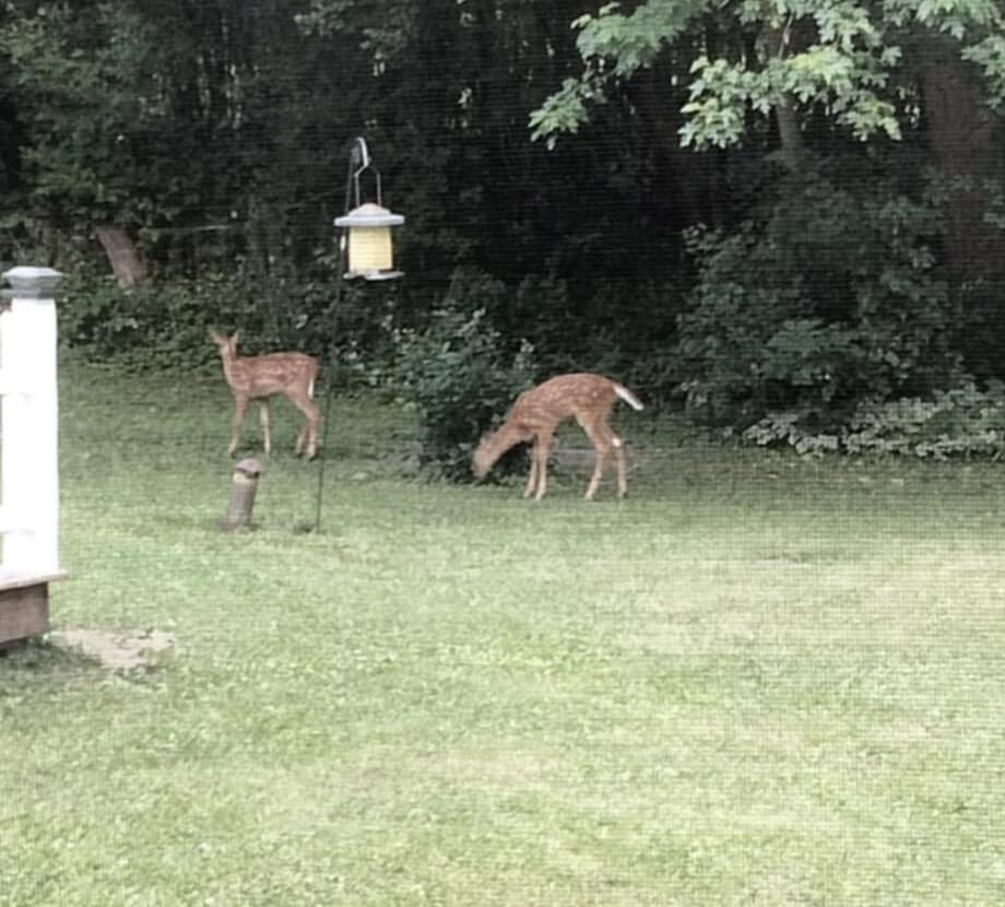 N44W28076 Capitol Drive Delafield, WI 53072 - Photo 17 of 18 att.1by6IntGJG9x_izf6XdVuj3b71LprWHN-0To