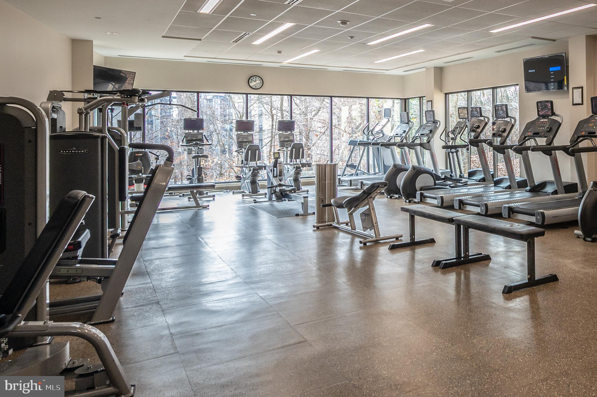 5904 Mt Eagle Drive, Unit 504 Alexandria, VA 22303 - Photo 36 of 50