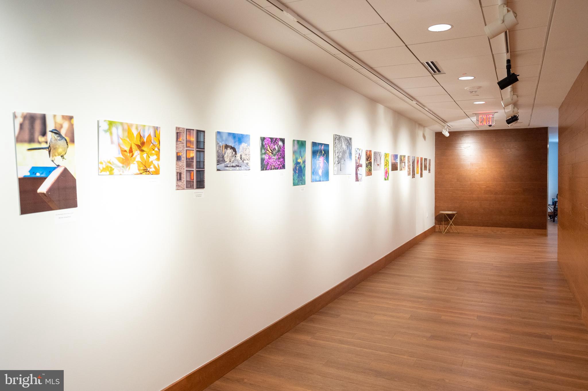 5904 Mt Eagle Drive, Unit 504 Alexandria, VA 22303 - Photo 37 of 50