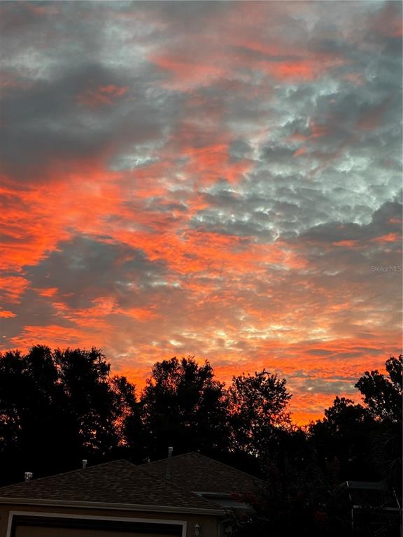 16288 Southwest 14th Avenue Road Ocala, FL 34473 - Photo 28 of 30 a view of sunset