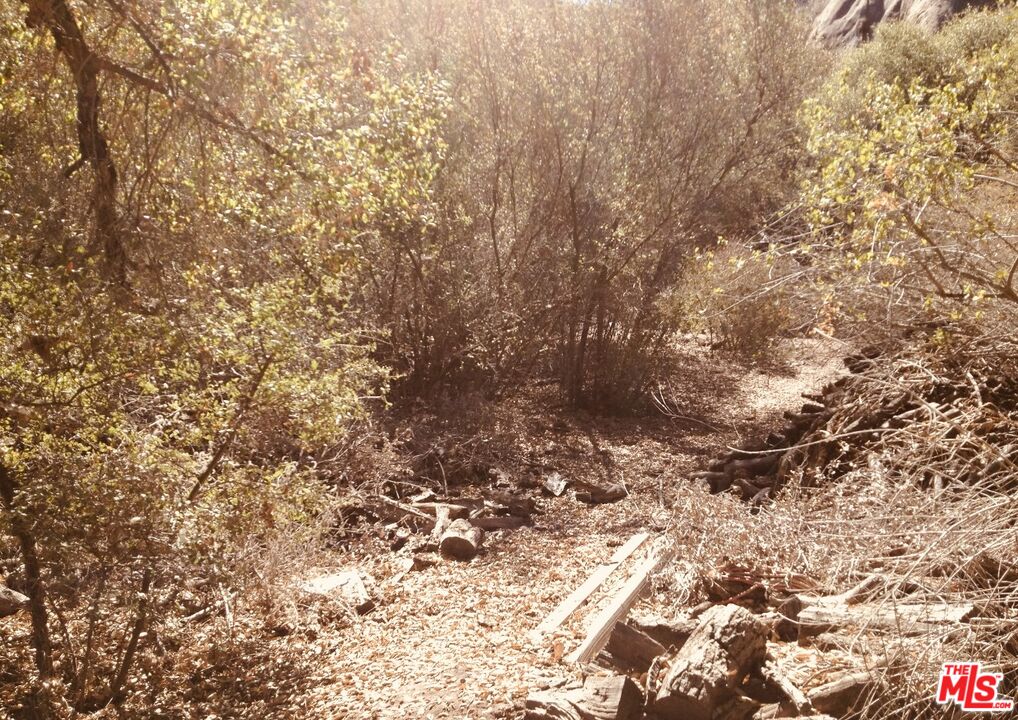 0 Red Rock Road Topanga, CA 90290 - Photo 17 of 53 a view of a yard with a tree