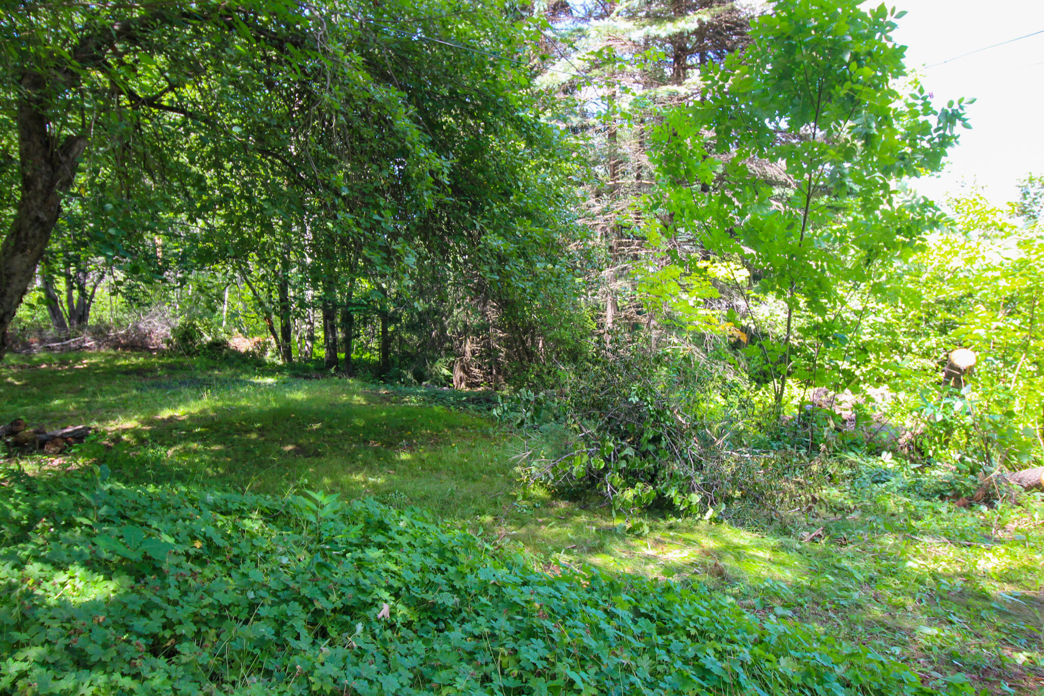 229 Brewer Lake Road Orrington, ME 04474 - Photo 46 of 48 IMG_3452