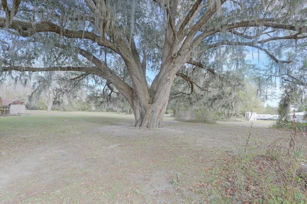 Southwest Cr-791 Lake Lake Butler, FL 32054 - Photo 2 of 7