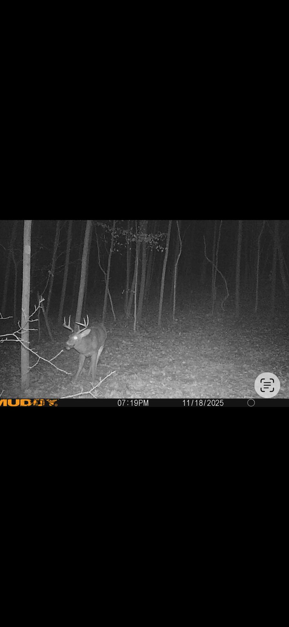 7415 East Anthony Road Branch, MI 49402 - Photo 91 of 99 1IMG_8227