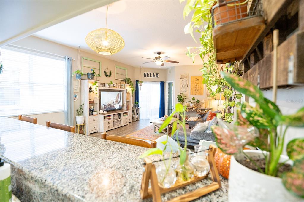 6207 Kiteridge Drive Lithia, FL 33547 - Photo 18 of 39 a view of a living room