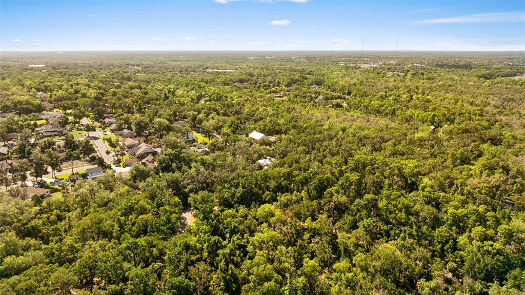 4710 Rambling River Road Brandon, FL 33511 - Photo 5 of 5