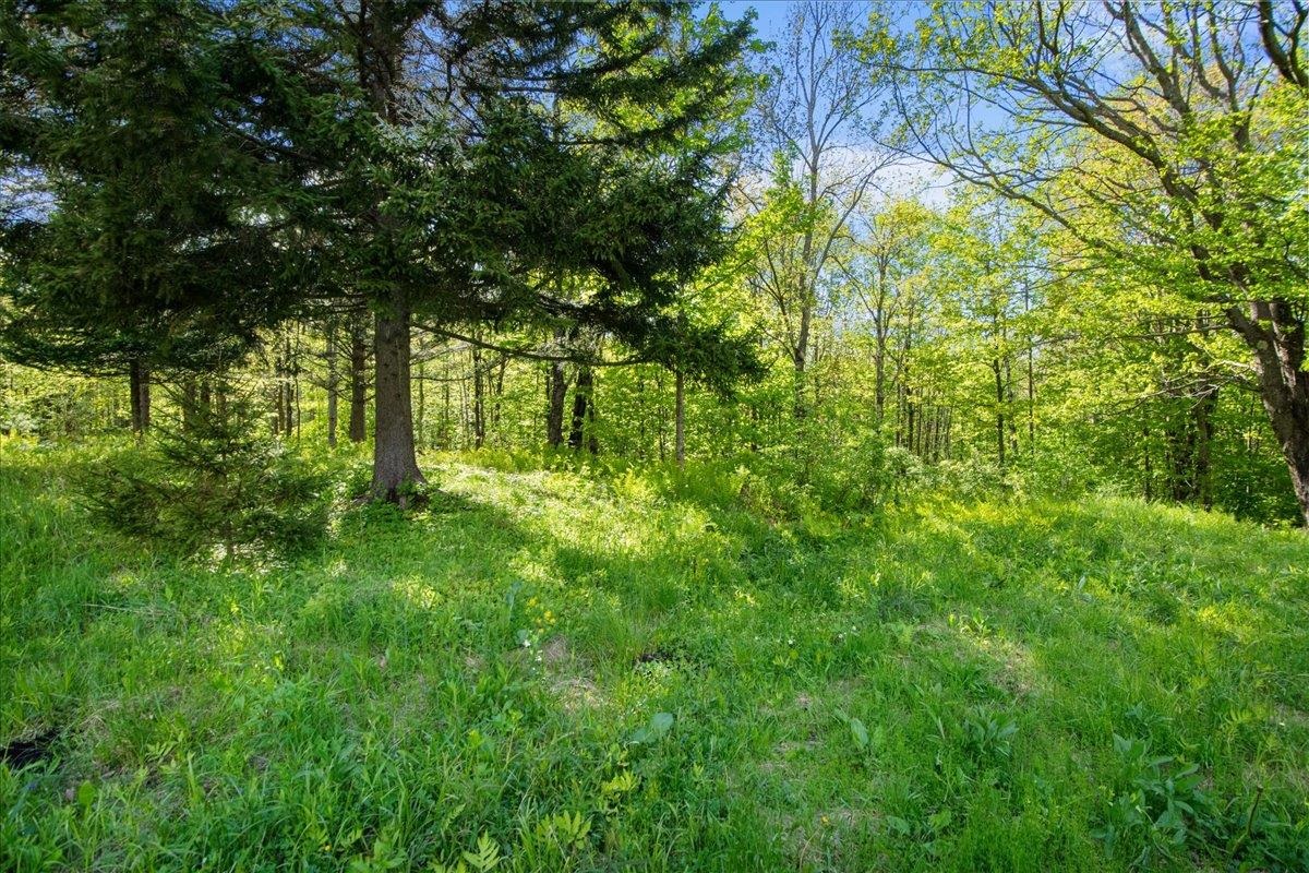 4106 Hill West Road Montgomery, VT 05450 - Photo 27 of 30