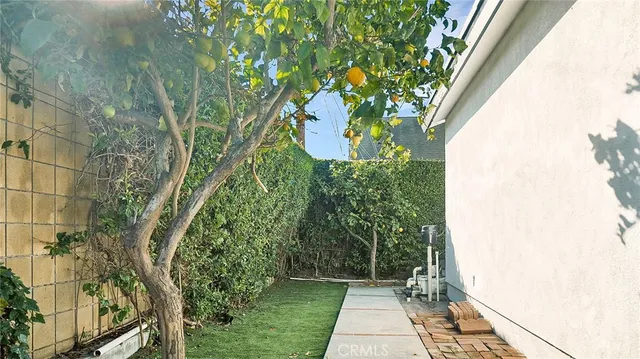 a view of a pathway of a patio with potted plants