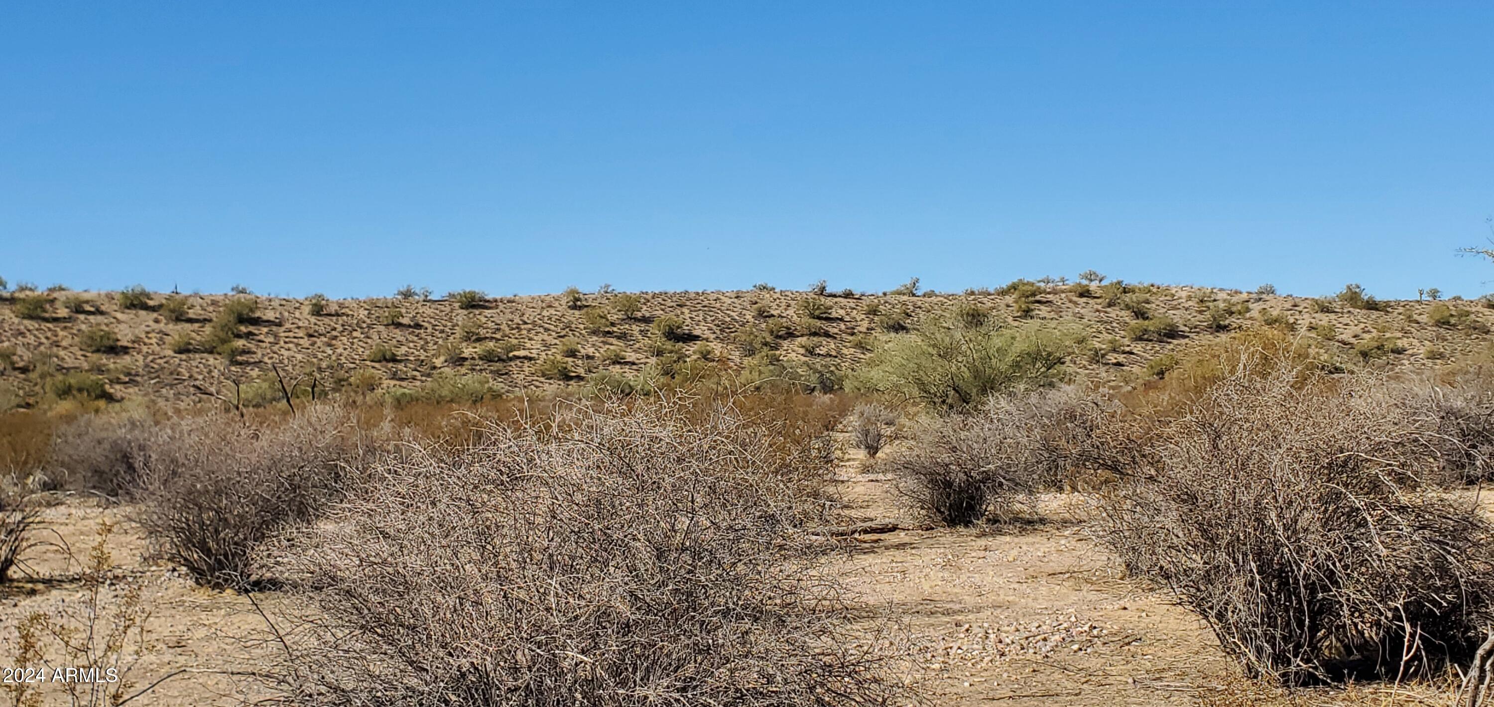 29150 West Radford Road, Unit 82 Wittmann, AZ 85361 - Photo 4 of 6 a view of a dry yard