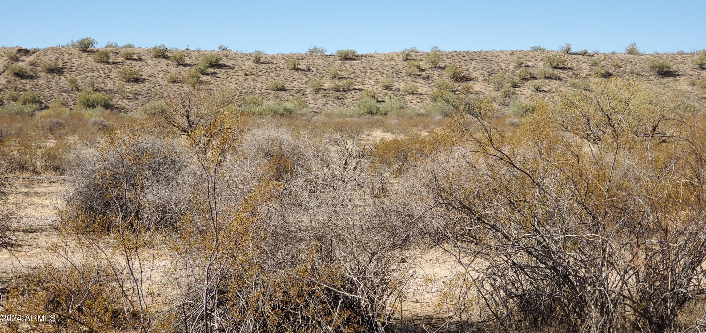 29150 West Radford Road, Unit 82 Wittmann, AZ 85361 - Photo 5 of 6 a view of a dry yard