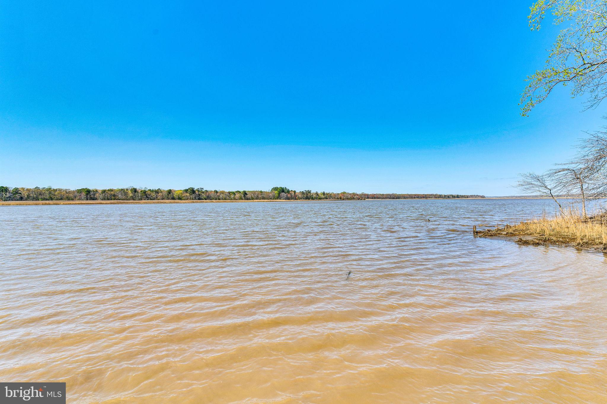 10231 3 Doctors Road Dunkirk, MD 20754 - Photo 43 of 60