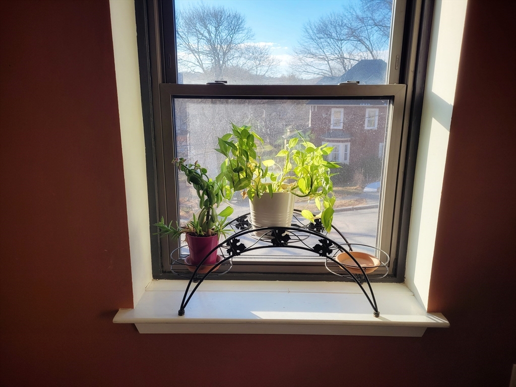 1029 Pleasant Street, Unit 20 Worcester, MA 01602 - Photo 13 of 16 a vase of flowers sitting on a table