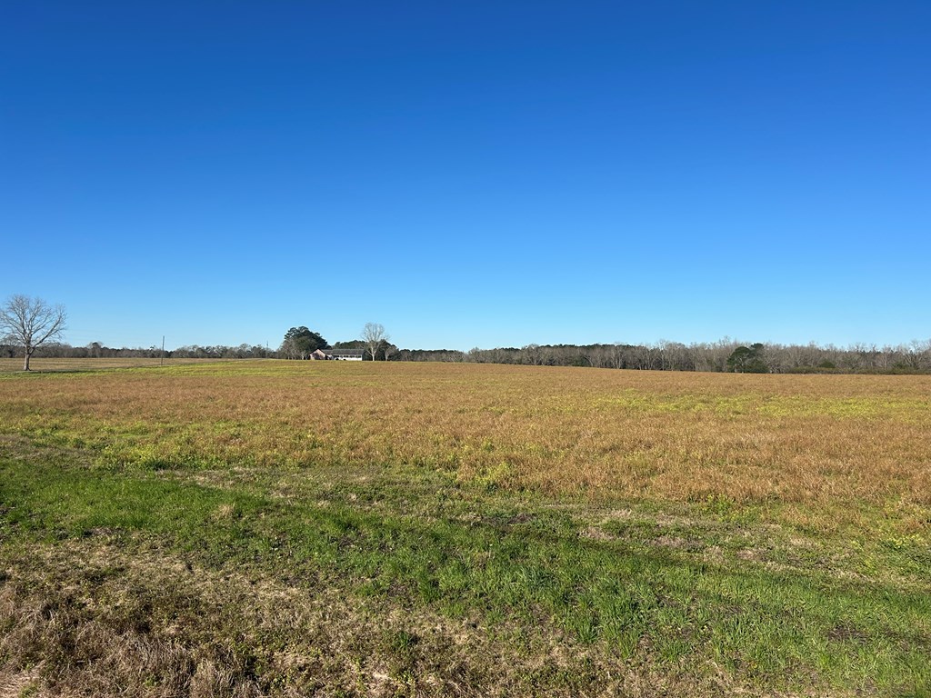 11034-11134 Cty Road Slocomb, AL 36375 - Photo 21 of 80