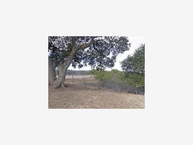 22525 Rolling Hills Road Saratoga, CA 95070 - Photo 8 of 9