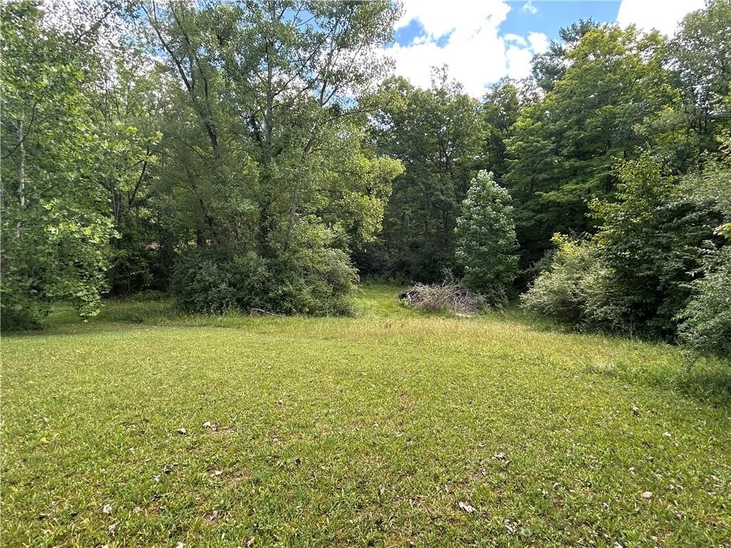 1899 Fitzpatrick Hill Road Montour, NY 14864 - Photo 4 of 11