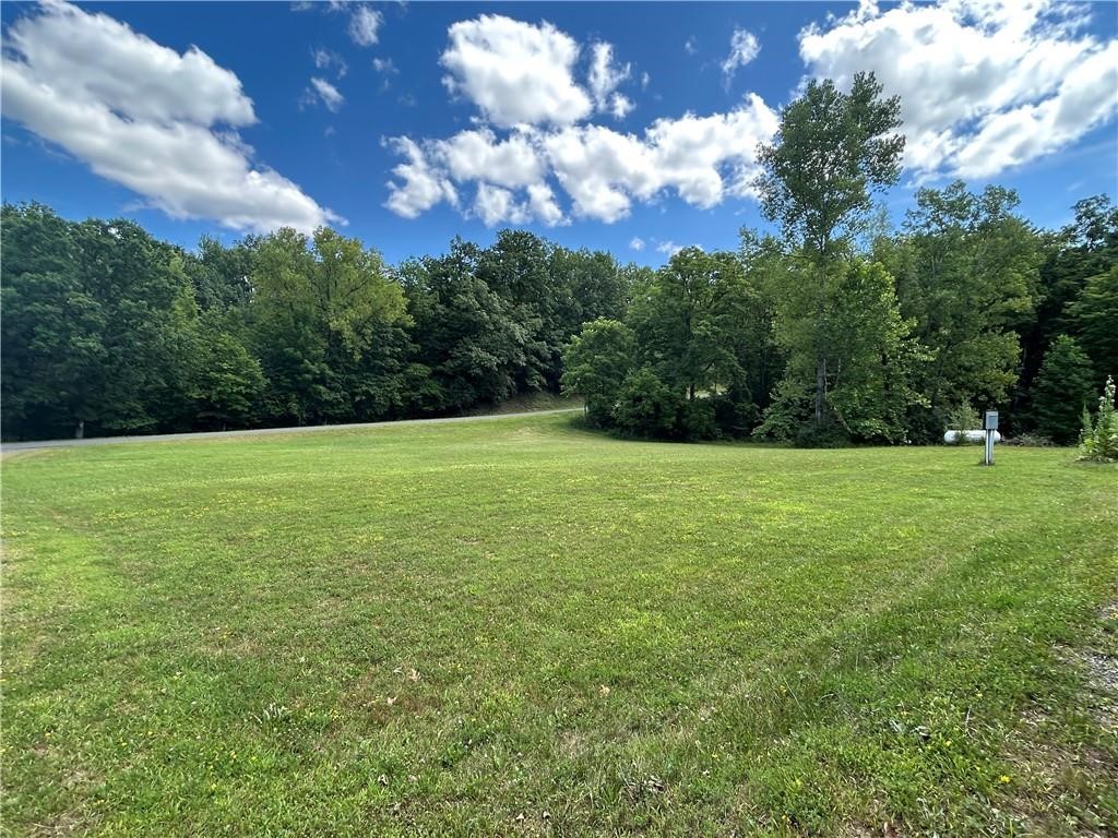 1899 Fitzpatrick Hill Road Montour, NY 14864 - Photo 5 of 11