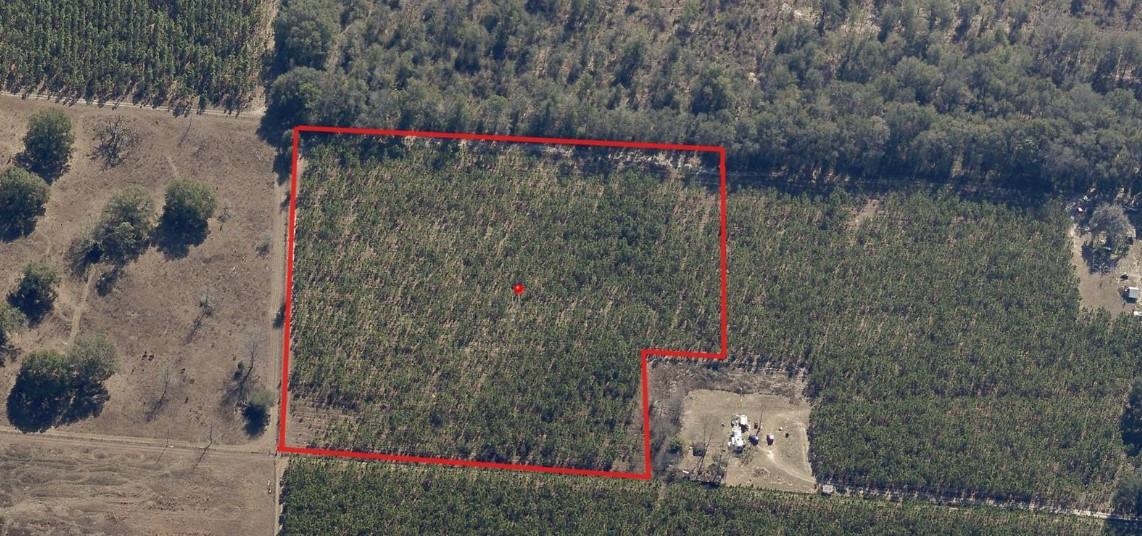 0 225th Road Live Oak, FL 32060 - Photo 11 of 14