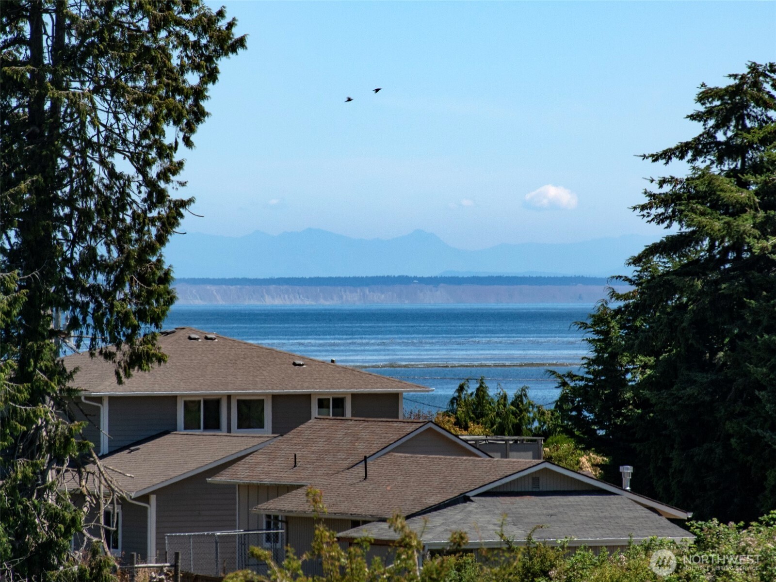 866 Jamestown Road Sequim, WA 98382 - Photo 4 of 40 a view of house with outdoor space