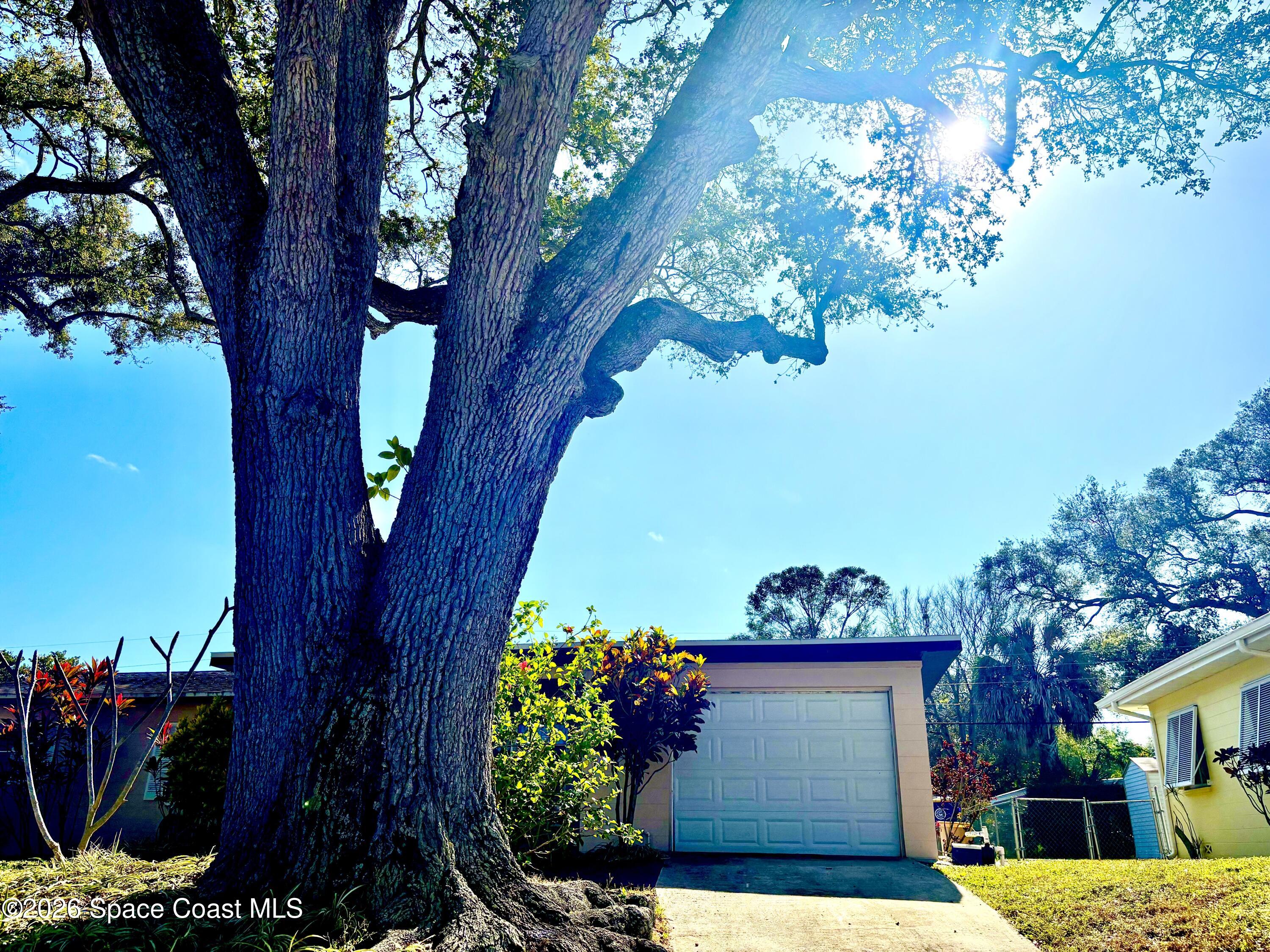 19 Orange Avenue Rockledge, FL 32955 - Photo 2 of 25 a view of a garden