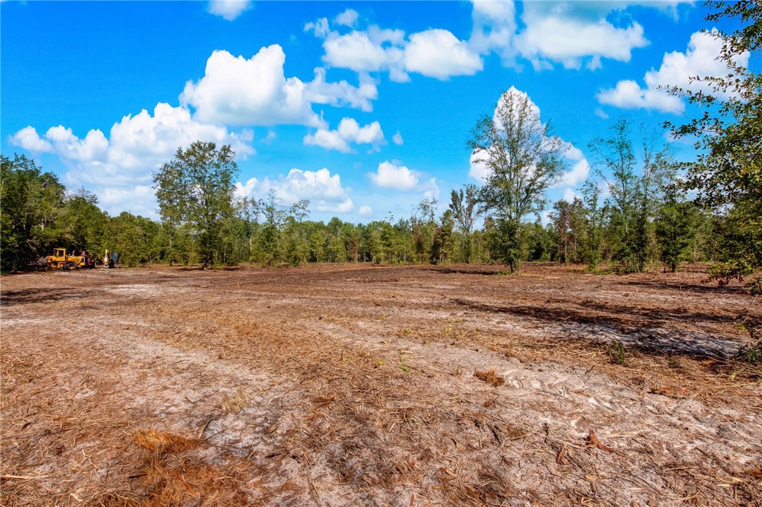 Parcel A Andrews Road Hilliard, FL 32046 - Photo 16 of 16 Gallery Image 16