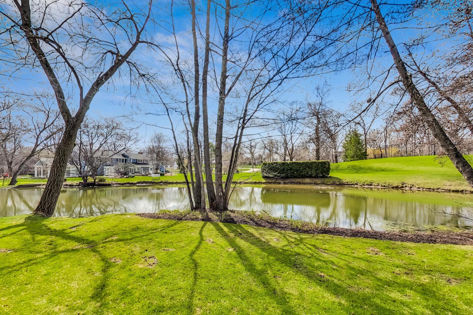 150 Firth Road Inverness, IL 60067 - Photo 8 of 83