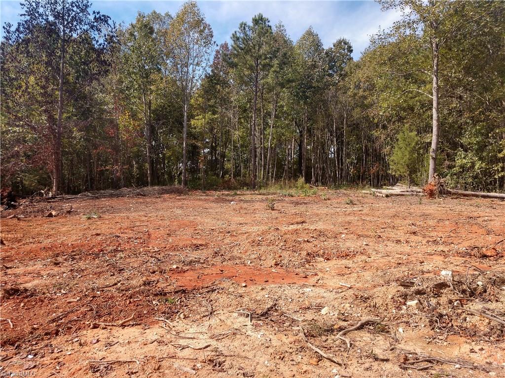 5712 Hayes Farm Road Seagrove, NC 27341 - Photo 13 of 16 Cleared Area