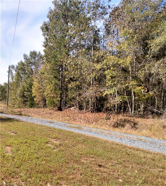 5712 Hayes Farm Road Seagrove, NC 27341 - Photo 14 of 16 Driveway and Wooded Area