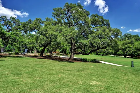 a view of a park with large trees