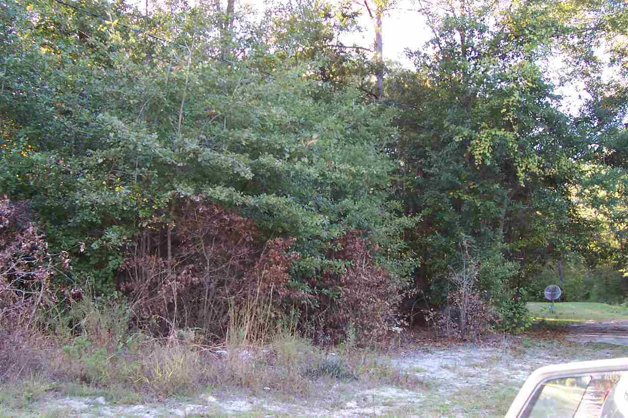 0 Gaver Road Havana, FL 32333 - Photo 5 of 6 Gallery Image 5