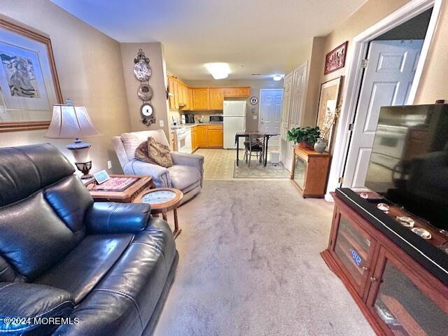 185 Liddle Avenue Edison, NJ 08837 - Photo 6 of 19 a living room with furniture and a flat screen tv