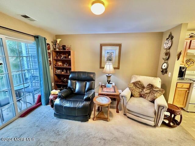 185 Liddle Avenue Edison, NJ 08837 - Photo 7 of 19 a living room with furniture and a window