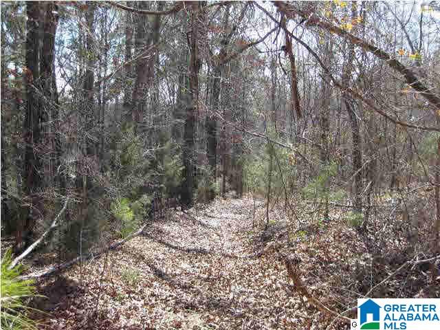 7525 Highway 13 Helena Al Helena, AL 35080 - Photo 2 of 6