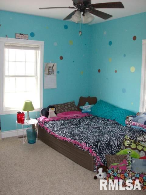12140 Sand Road Fulton, IL 61252 - Photo 13 of 21