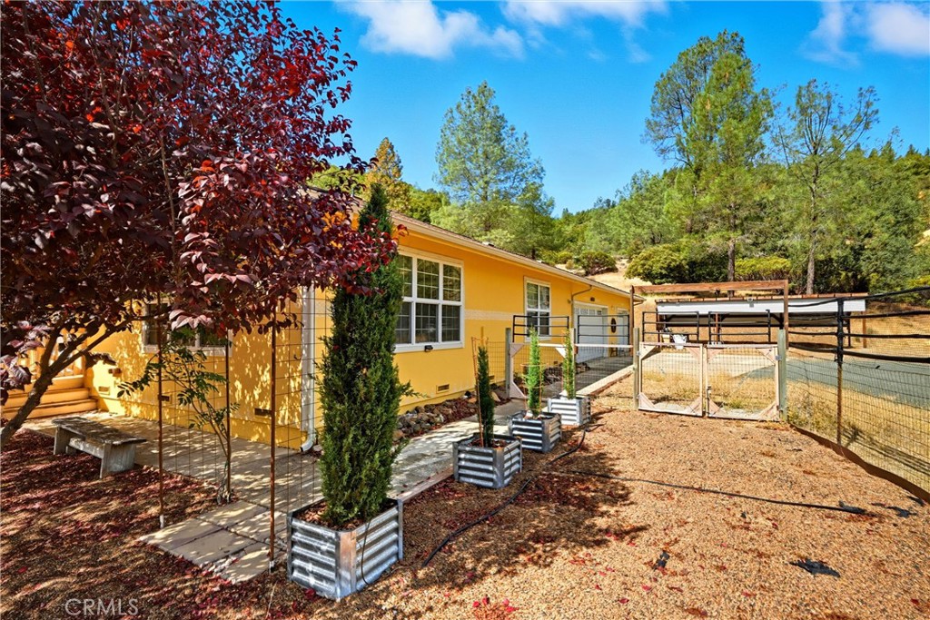 6850 High Valley Road Kelseyville, CA 95451 - Photo 6 of 45 Plenty of room for gardening..