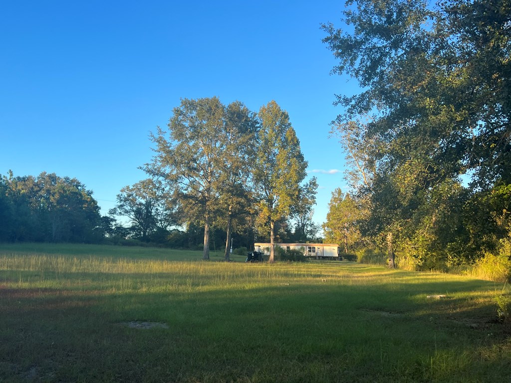 4151 Cotton Box Road Slocomb, AL 36375 - Photo 8 of 17