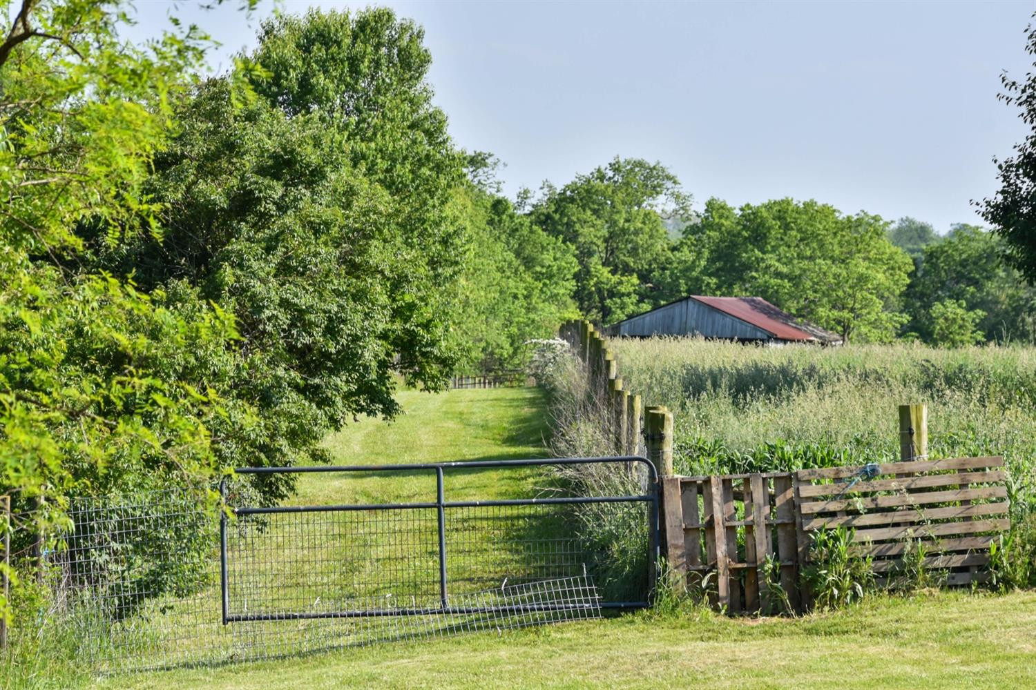 178 Prescott Road Paris, KY 40361 - Photo 35 of 52 Photo 35