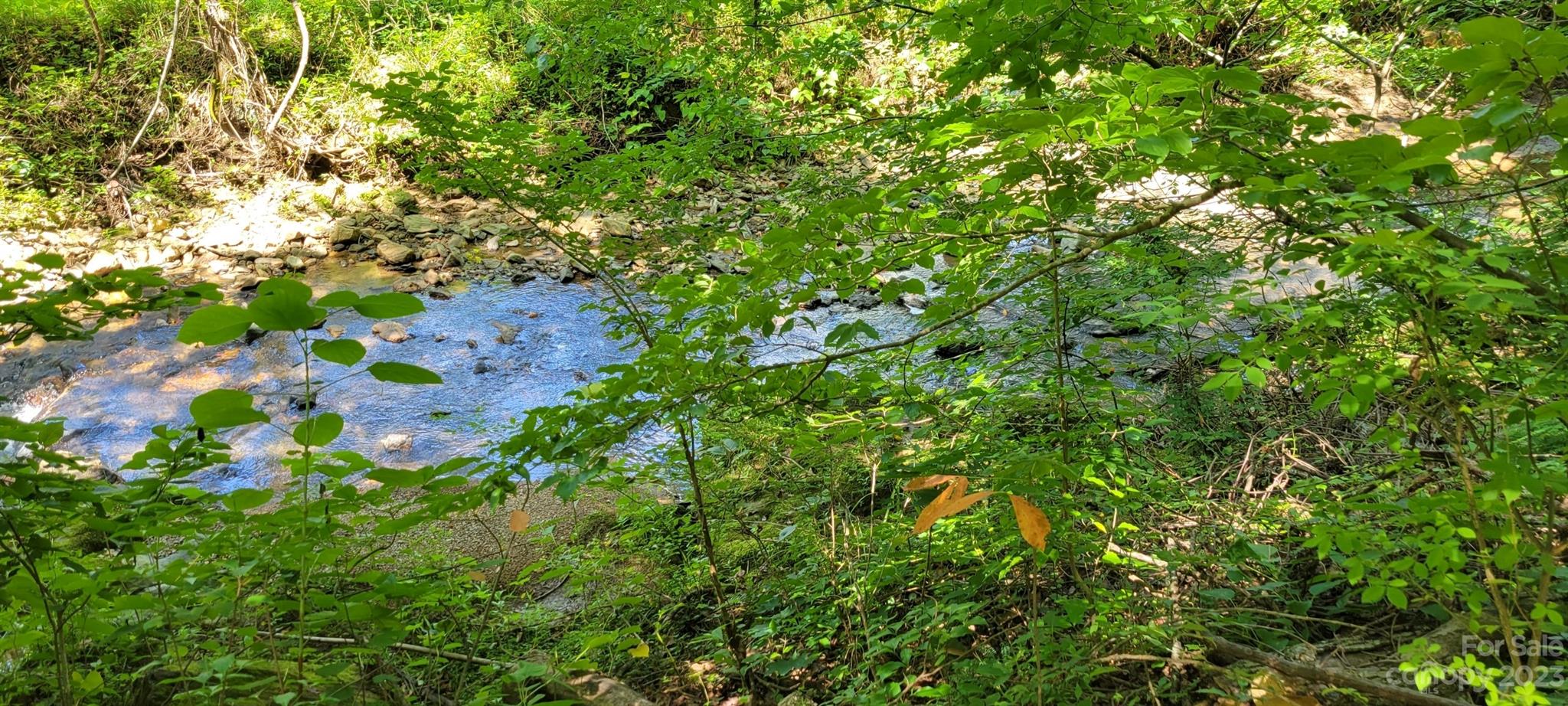 53 Eddie Cody Road Marshall, NC 28753 - Photo 10 of 10 a backyard of a house with lots of tree