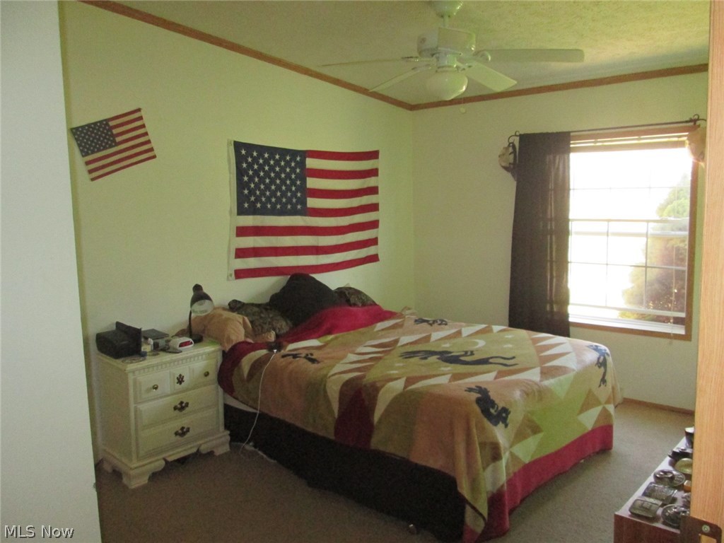 7995 Ripple Road Northeast Mechanicstown, OH 44651 - Photo 11 of 27 Gallery Image 11