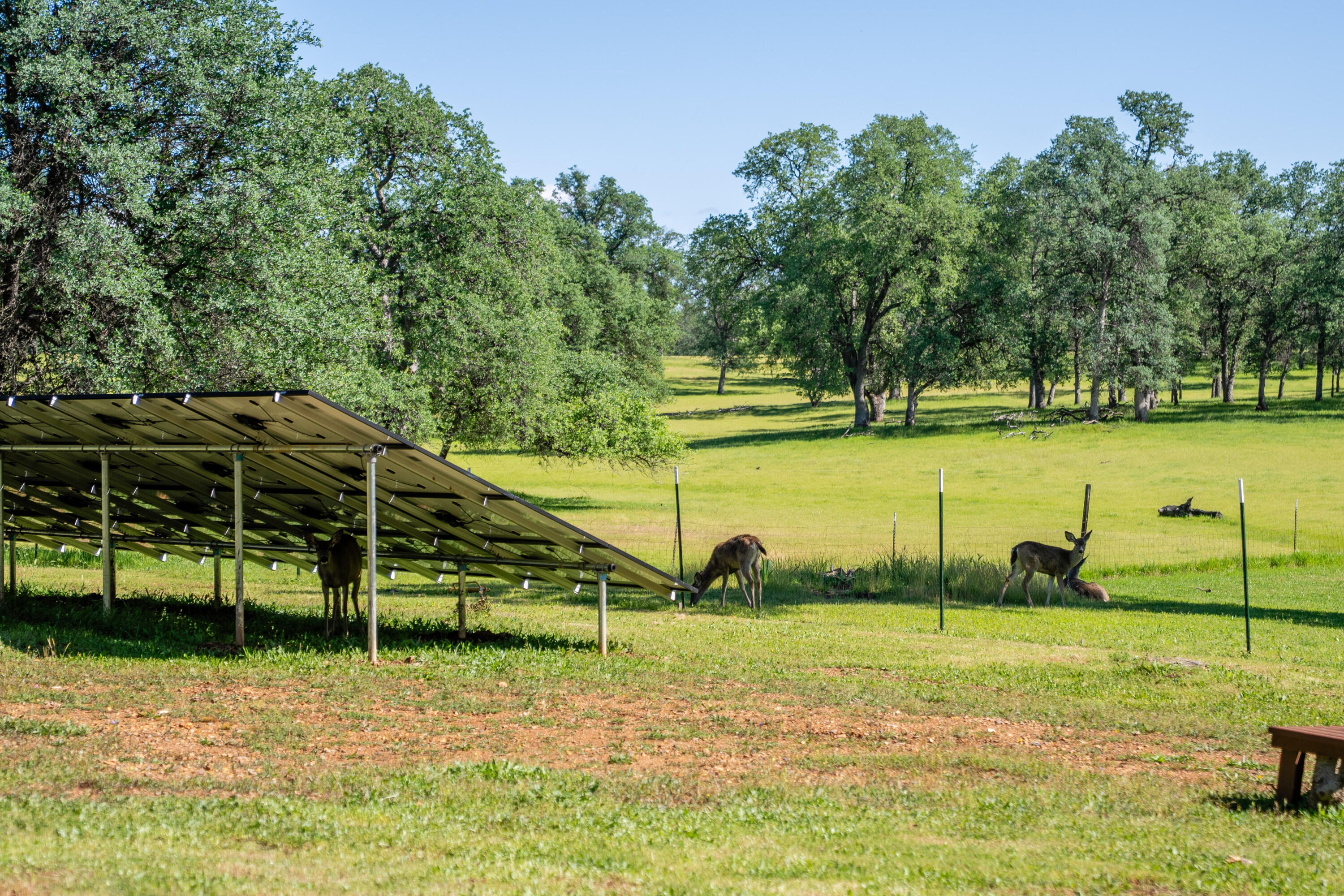 11385 Easy Street Redding, CA 96003 - Photo 33 of 55 TUF00935