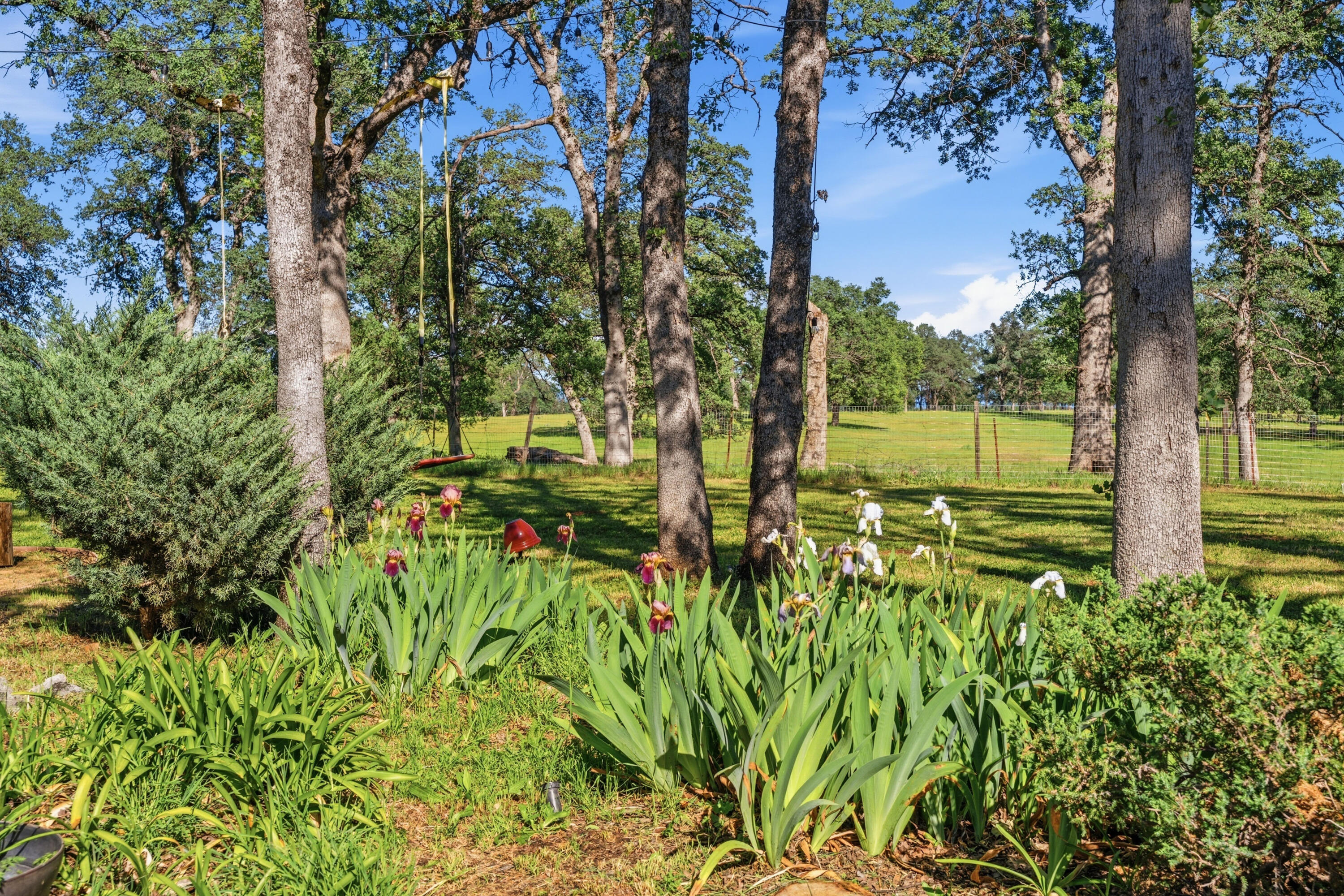 11385 Easy Street Redding, CA 96003 - Photo 48 of 55 TUF00999